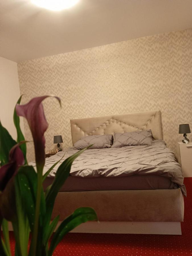 Karina House Apartman Brassó Kültér fotó