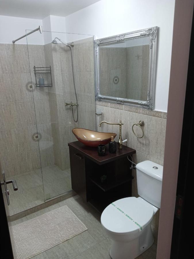 Karina House Apartman Brassó Kültér fotó
