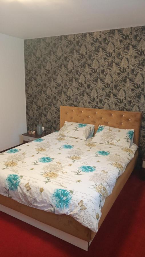 Karina House Apartman Brassó Kültér fotó